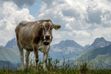 Strebel, Wiebke  - Fototeam 76 Hannover  - In den Bergen - Natur - Annahme