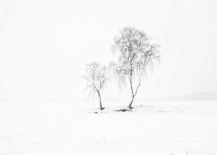 de Lüc-Koch, Nicole  - Fotogruppe Barsinghausen  - Winter-weiß-wenig - SW - Annahme