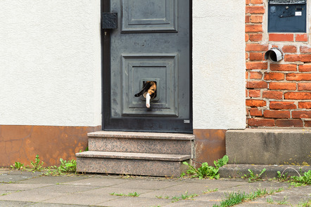 Fotowalk Einbeck - Claudia Beate 5