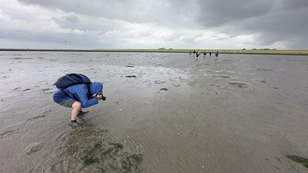 Fotowalk Wattenmeer - Michaela Pecat Foto 09