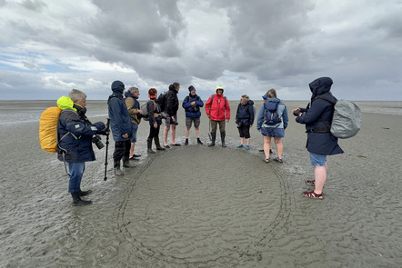 Fotowalk Wattenmeer - Michaela Pecat Foto 05