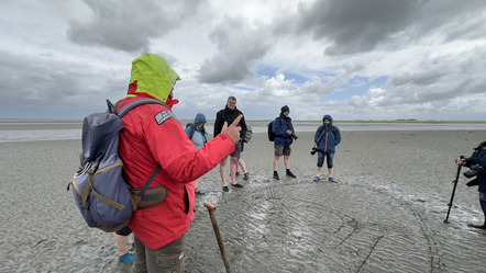 Fotowalk Wattenmeer - Michaela Pecat Foto 06