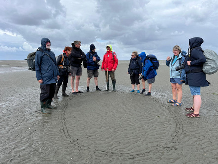 Fotowalk Wattenmeer - Ute Rofallski 1