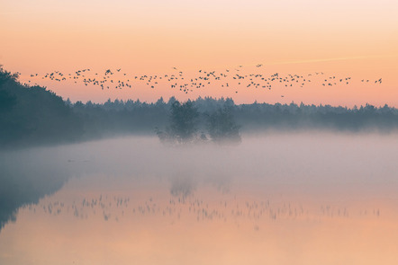 Bomhoff, Stefanie  - Camera Club Bremen  - Im Moor - Natur - AK3 - Annahme