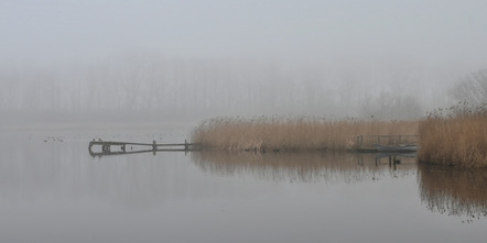 Lepper, Ulf  - Fotoclub Kiel   - See im Nebel - Natur - AK3 - Annahme