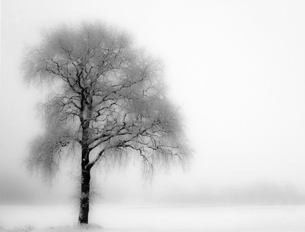 Petersen, Axel  - Foto-Club-VHS Glückstadt  - Winterbaum - SW - AK3 - Annahme