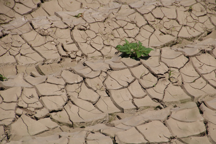 Meyer, Detlef  - Direktmitglied  - Klimawandel - Annahme - Gegensätze