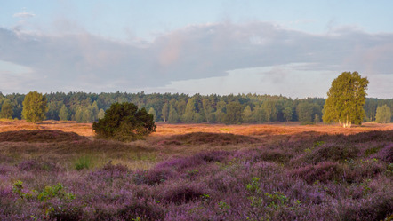 Naturfotoworkshop - Pia Dumke 3